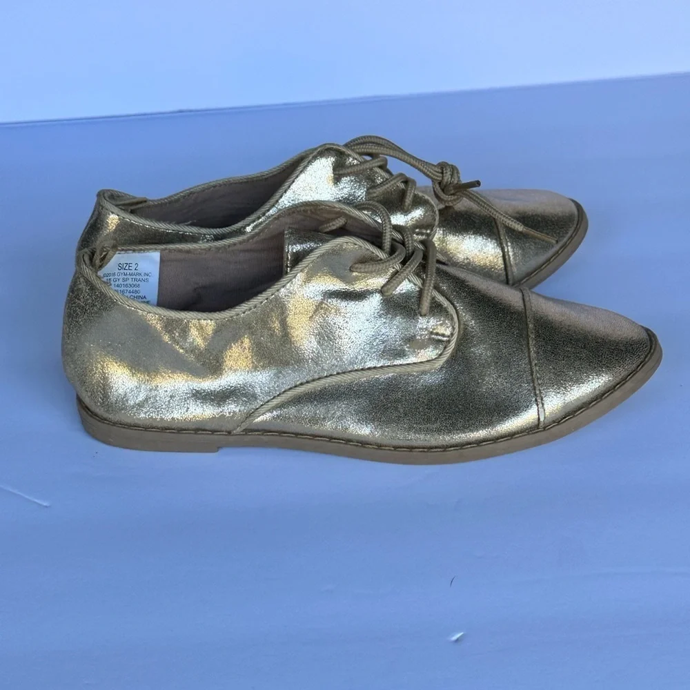 Gymboree Kitty in Pink Girls Gold OxFord size 2